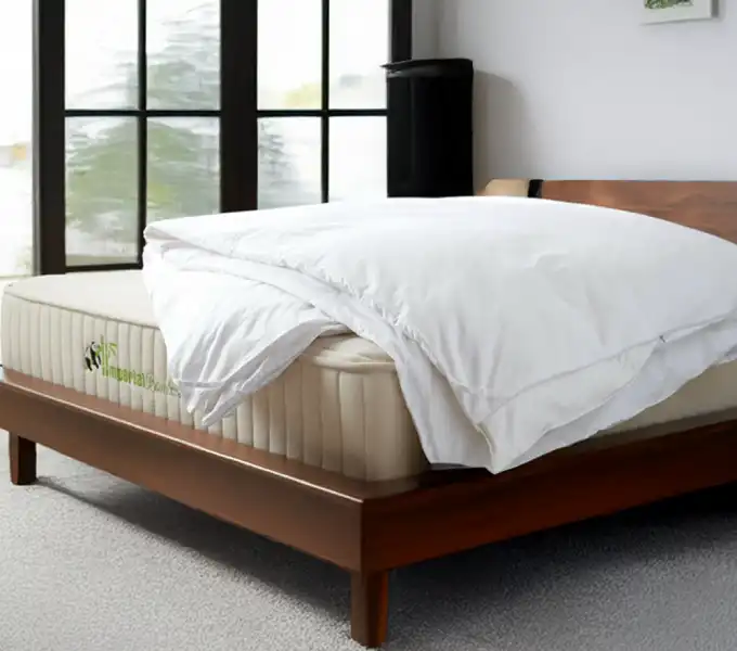 Duvet Main Section WEBP 4